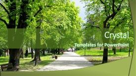  Presentation with springtime - Beautiful PPT layouts featuring springtime in the city backdrop and a tawny brown colored foreground