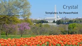  Presentation with united states - Slide deck enhanced with springtime-in-washington-dc-washington background and a light blue colored foreground