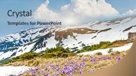  Presentation with springtime - PPT layouts enhanced with springtime is the moment for this beautiful flower carpathian ukraine europe beauty world background and a light blue colored foreground