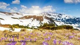  Presentation with springtime - Presentation theme consisting of springtime is the moment for this beautiful flower carpathian ukraine europe beauty world background and a yellow colored foreground