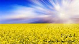  Presentation with springtime - Presentation theme with springtime is the moment for this purple flower background and a gold colored foreground