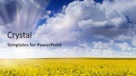  Presentation with springtime - Colorful PPT theme enhanced with springtime is the moment for this purple flower backdrop and a light blue colored foreground