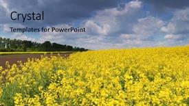  Presentation with springtime - PPT theme enhanced with springtime is the moment for this purple flower background and a ocean colored foreground