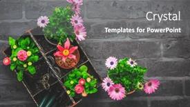  Presentation with springtime - Presentation design having springtime-plating-and-gardening-concept background and a  colored foreground