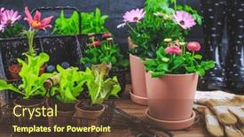  Presentation with springtime - Presentation enhanced with springtime-plating-and-gardening-concept background and a  colored foreground