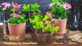  Presentation with springtime - PPT theme having springtime-plating-and-gardening-concept background and a  colored foreground