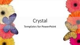  Presentation with springtime - Cool new presentation with butterfly flyers - springtime themed frame made backdrop and a white colored foreground