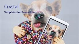  Presentation with sprinkles - Audience pleasing presentation theme consisting of sprinkles and taking a self backdrop and a lemonade colored foreground