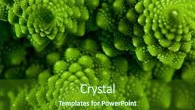  Presentation with cabbage - Slide set having sprital - romanesco broccoli cabbage marco nature background and a forest green colored foreground