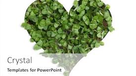  Presentation with plants growing - Presentation design with sprout-green-plants-growing background and a white colored foreground