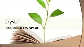  Presentation with open book - Beautiful presentation theme featuring sprout growing from open book backdrop and a soft green colored foreground