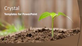  Presentation with dirt - Presentation with sprout growing out of dirt in a garden background and a coral colored foreground