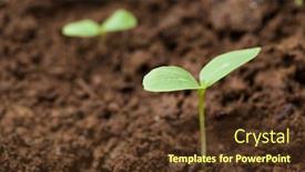  Presentation with dirt - Cool new PPT theme with sprout growing out of dirt in a garden backdrop and a tawny brown colored foreground