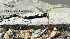  Presentation with difficult conversation - Presentation consisting of difficlt - sprout in difficult conditions background and a light gray colored foreground