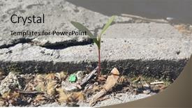  Presentation with difficult conversation - Slide deck with rocks soil - sprout in difficult conditions background and a light gray colored foreground