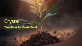  Presentation with sprout - Theme having sprout-of-a-green-plant background and a tawny brown colored foreground