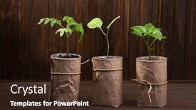  Presentation with eggplant - Presentation theme with sprout-of-eggplant-and-tomato background and a tawny brown colored foreground