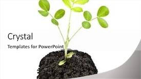  Presentation with peanuts - Presentation theme enhanced with sprout peanuts in soil background and a white colored foreground
