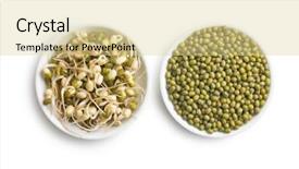  Presentation with beans - Audience pleasing PPT theme consisting of sprouted and dried mung beans backdrop and a blonde colored foreground