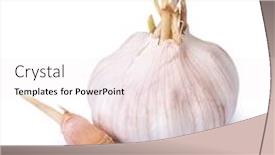  Presentation with garlic garlic garlic bulb - Slide deck with sprouted-garlic-bulb-isolated background and a sky blue colored foreground