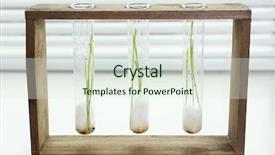  Presentation with grains - Theme featuring sprouted grains in glass test tubes on windowsill background background and a sky blue colored foreground