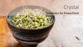  Presentation with beans - PPT theme having sprouted-green-mung-beans-mung background and a lemonade colored foreground