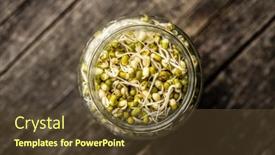  Presentation with beans - Slide set featuring sprouted-green-mung-beans-mung background and a tawny brown colored foreground