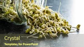 Presentation with beans - PPT theme enhanced with sprouted-green-mung-beans-mung background and a tawny brown colored foreground