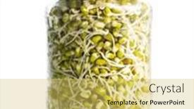  Presentation with white green - Amazing slide set having sprouted-green-mung-beans-mung backdrop and a yellow colored foreground