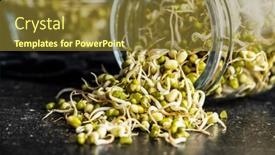  Presentation with drone technology green and black - Audience pleasing PPT theme consisting of sprouted-green-mung-beans-mung backdrop and a tawny brown colored foreground