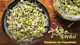  Presentation with beans - Colorful presentation enhanced with sprouted-green-mung-beans-mung backdrop and a tawny brown colored foreground