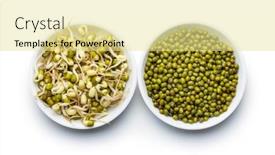  Presentation with bean sprouts - Presentation theme with sprouted-green-mung-beans background and a blonde colored foreground