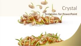  Presentation with healthy eating - Presentation design with sprouted-microgreens-of-fresh-natural background and a cream colored foreground