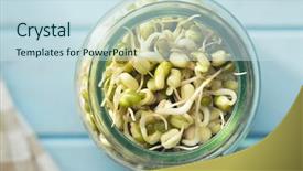  Presentation with sprout - PPT theme having sprouted mung beans in jar background and a sky blue colored foreground