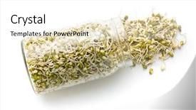  Presentation with sprout - Colorful slide set enhanced with sprouted mung beans in jar backdrop and a white colored foreground