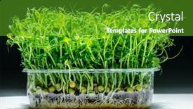  Presentation with health benefit - Slide deck with sprouted-seeds-of-pea-isolated background and a tawny brown colored foreground