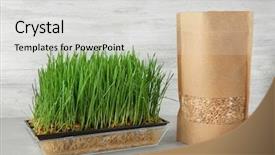  Presentation with white torn paper on gray - Cool new presentation theme with sprouter with wheat grass backdrop and a light gray colored foreground