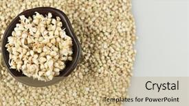 Presentation with vegan vegetarian diet - PPT theme featuring sprouting - sprouts of green buckwheat background and a coral colored foreground