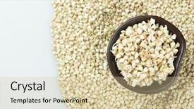  Presentation with healthy diet organic food - Cool new PPT layouts with sprouting - sprouts of green buckwheat backdrop and a soft green colored foreground