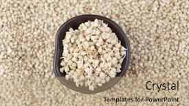  Presentation with healthy diet organic food - PPT theme enhanced with sprouting - sprouts of green buckwheat background and a coral colored foreground
