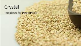  Presentation with healthy diet organic food - Theme having sprouting - sprouts of green buckwheat background and a  colored foreground