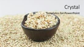  Presentation with vegan vegetarian diet - Cool new theme with sprouting - sprouts of green buckwheat backdrop and a  colored foreground