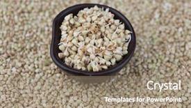  Presentation with healthy diet organic food - PPT layouts enhanced with sprouting - sprouts of green buckwheat background and a  colored foreground