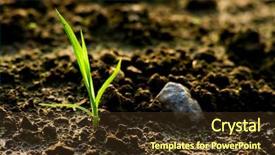 Presentation with sprouting plant - PPT theme featuring sprouting plant in dry soil background and a  colored foreground