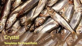  Presentation with salak - Cool new theme with sprtts - fresh large sprat the fish backdrop and a tawny brown colored foreground