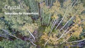  Presentation with fall mountains - Cool new PPT theme with spruce and aspen in fall colors at kenosha pass in colorado's rocky mountains aerial view backdrop and a gray colored foreground