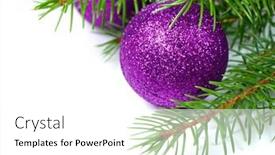  Presentation with spruce - Presentation theme with spruce branch with purple christmas balls over white background and a white colored foreground