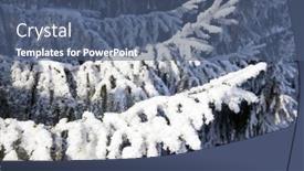  Presentation with spruce - Colorful presentation enhanced with spruce-branches-are-covered backdrop and a ocean colored foreground