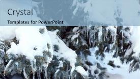  Presentation with spruce - Slide deck featuring spruce-covered-with-snow background and a light blue colored foreground