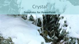  Presentation with spruce - Audience pleasing PPT layouts consisting of spruce-covered-with-snow backdrop and a light blue colored foreground